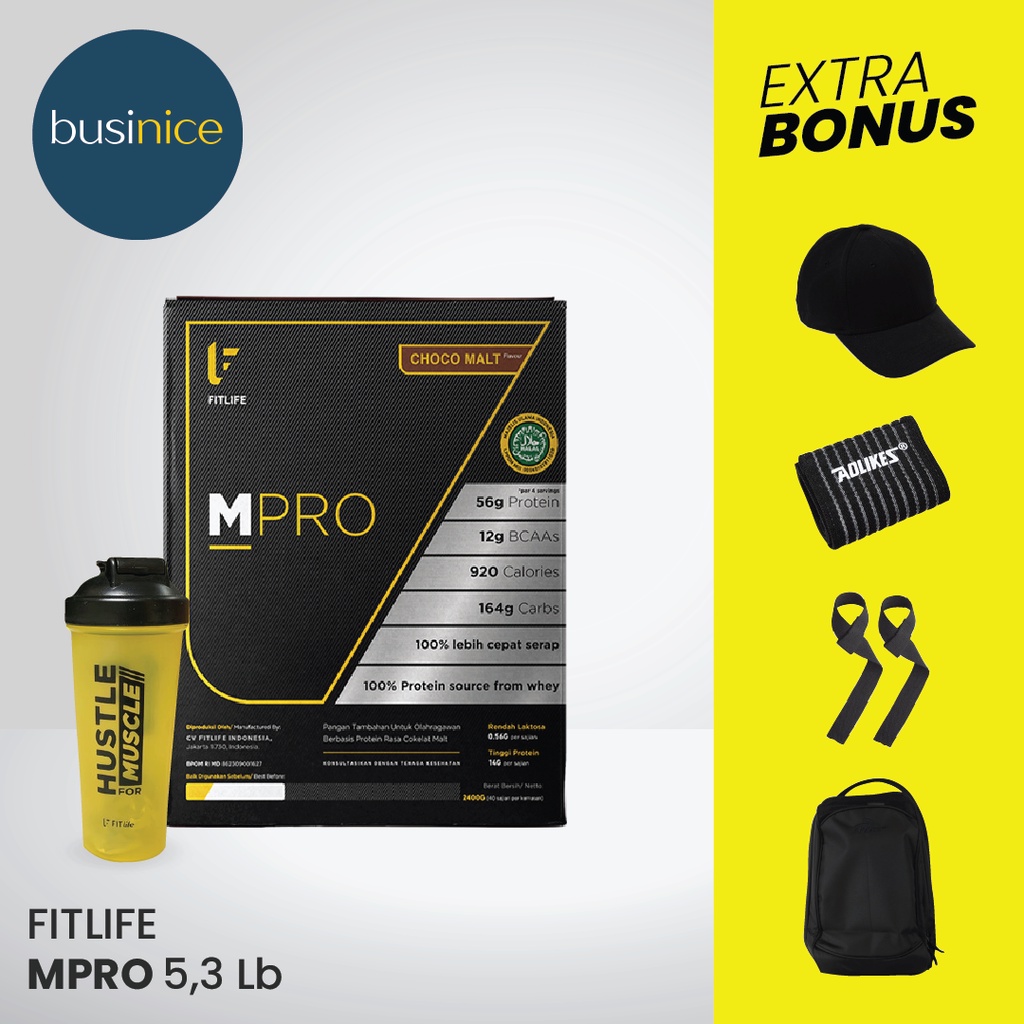 Fitlife Mpro Gainer 5.3 Lbs Mass Pro Gainer Fit Life