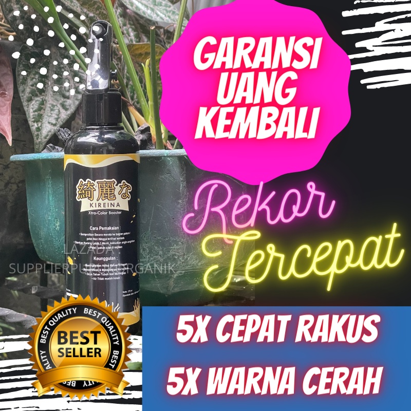 Vitamin Ikan Cupang,Vitamin Ikan Cupang Hias,Vitamin Cupang Nafsu Makan,Vitamin Ikan Cupang Aduan,Vi