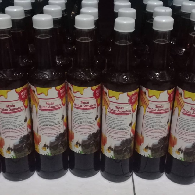

MADU HUTAN SUMATERA