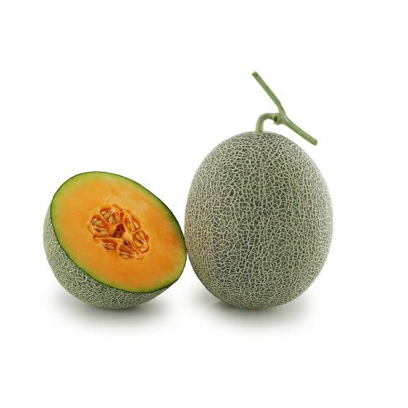 1 biji benih melon golden beauty F1 bibit tanaman buah bisa hidroponik MGI minigarden indonesia