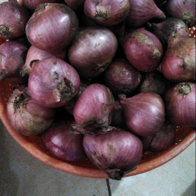 

Bawang merah super