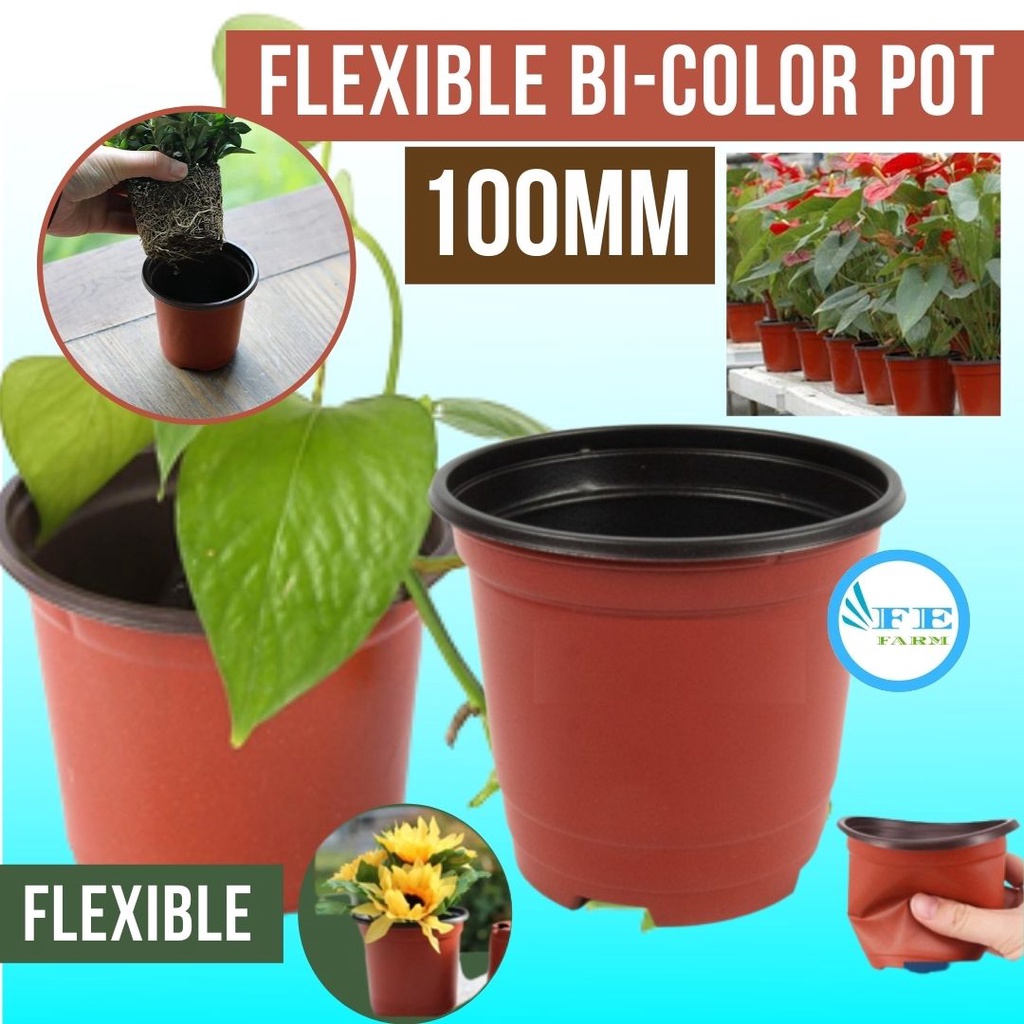 Pot Bunga Plastik Elastis Dua Warna/Double Color Flexible Flower Pot 10 cm Pot Lentur Murah FEFARM