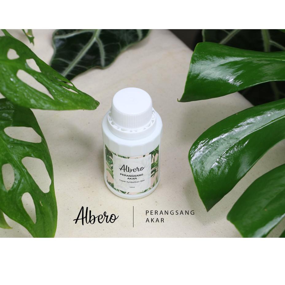 Ω Albero perangsang/ akar tanaman hias ➵