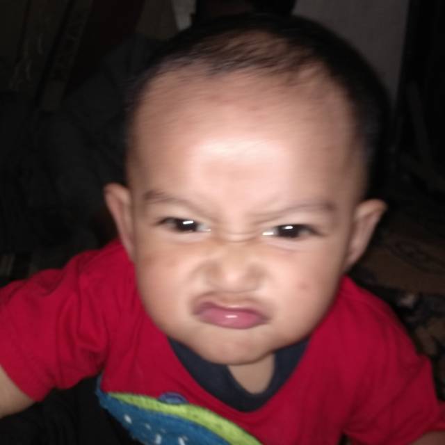 j8hjo4rotx2wfmtmezt23jltjvvu