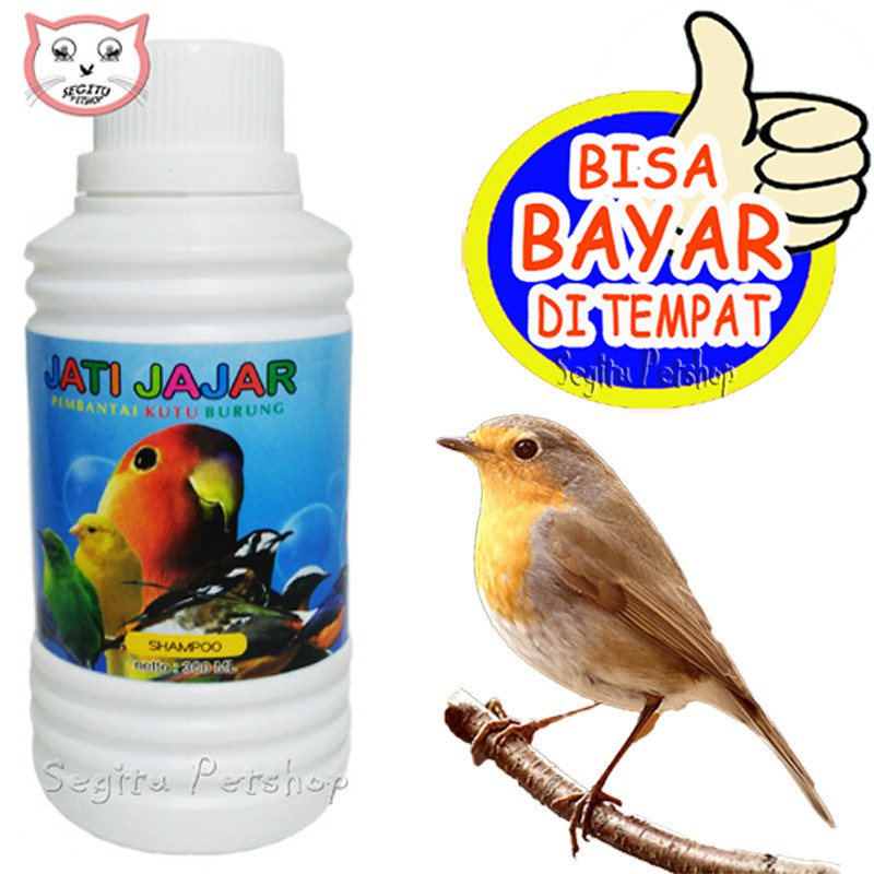SHAMPO BURUNG MURAI KACER PLECI ANIS LOVE BIRD SAMPO EBOD JATI JAJAR