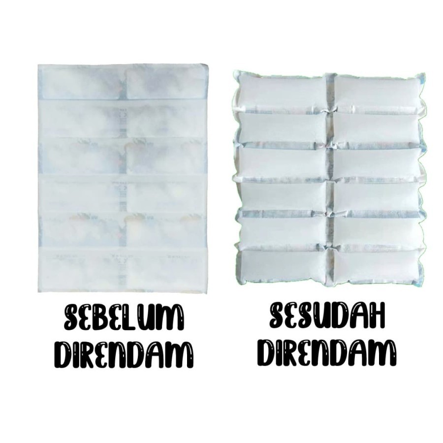 Ice Gel / Thermafreeze / Lembaran Pengganti Dry Ice Isi 12 Besar