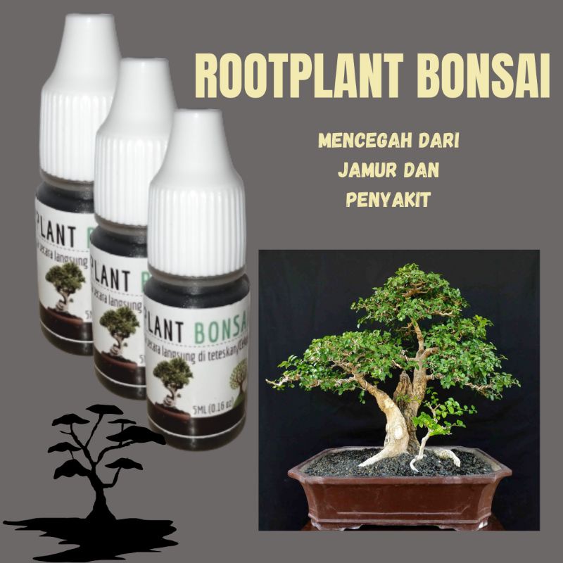 PUPUK UNTUK DAUN BONSAI - ROOTPLANT BONSAI - PUPUK UNTUK PERTUMBUHAN AKAR TANAMAN BONSAI TERBAIK