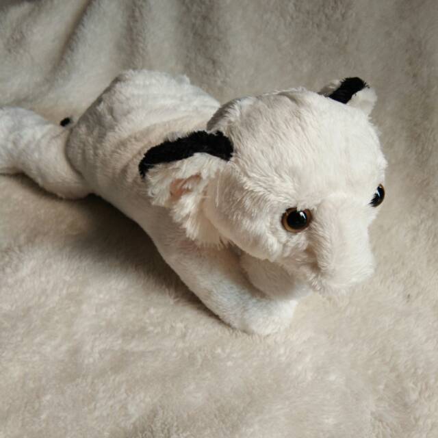 PROMO  CUCI GUDANG BONEKA KOALA PUTIH DAN COKLAT