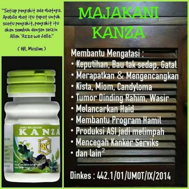 Manjakani kanza / majakanza /maja kanza / obat keputihan