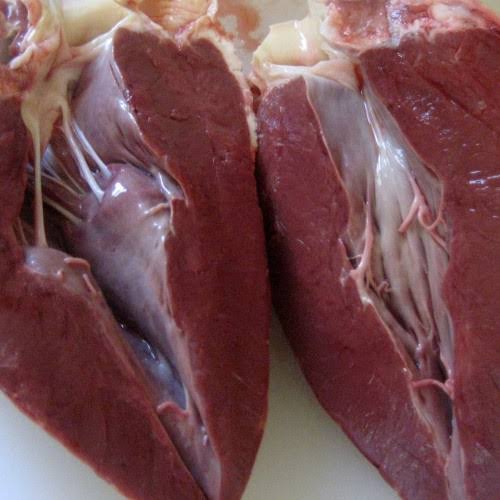 

jantung sapi segar pasar online makassar