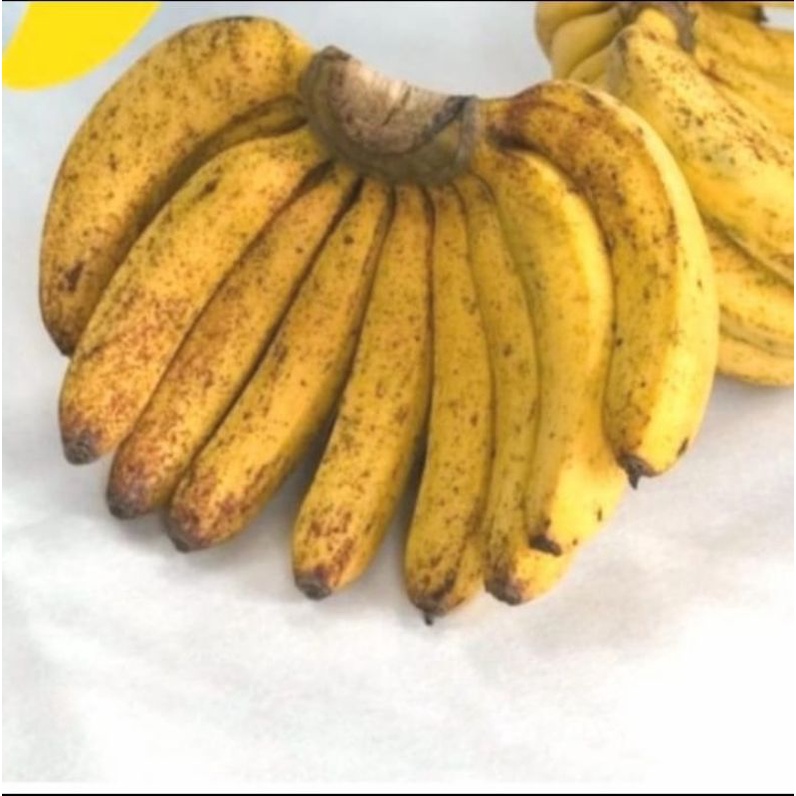 

Pisang Barangan medan