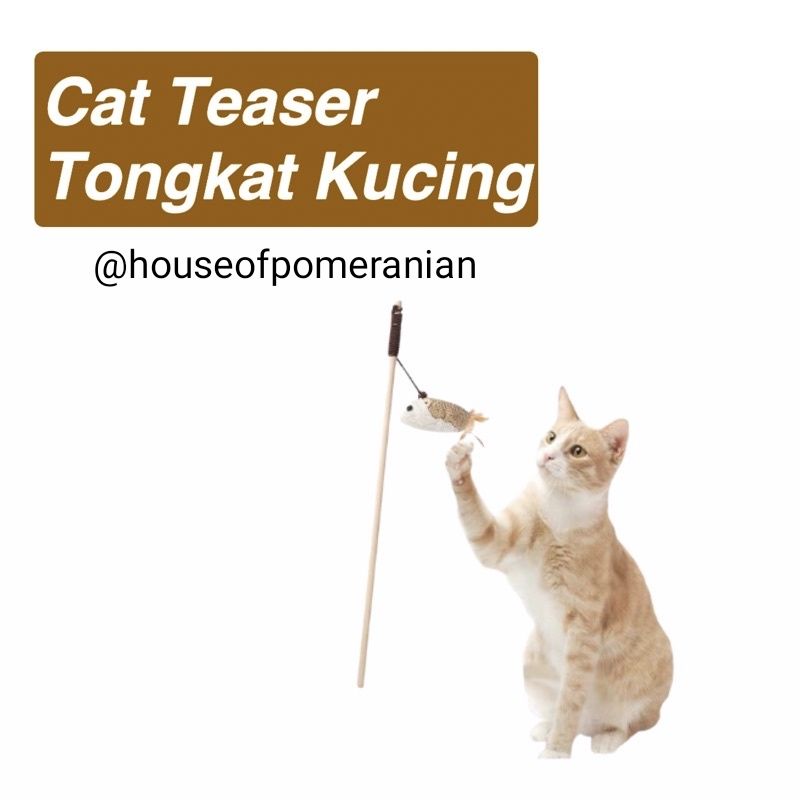 mainan kucing pancingan tikus cat teaser tongkat kayu toys rat chaser