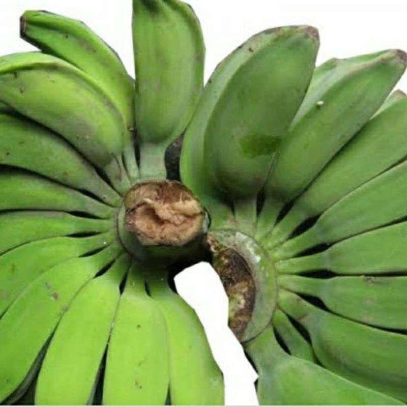 

Pisang kepok 1 sisir sudah mateng / mentah