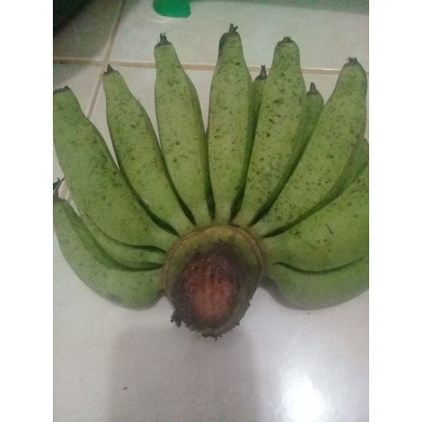 

Pisang Temiang