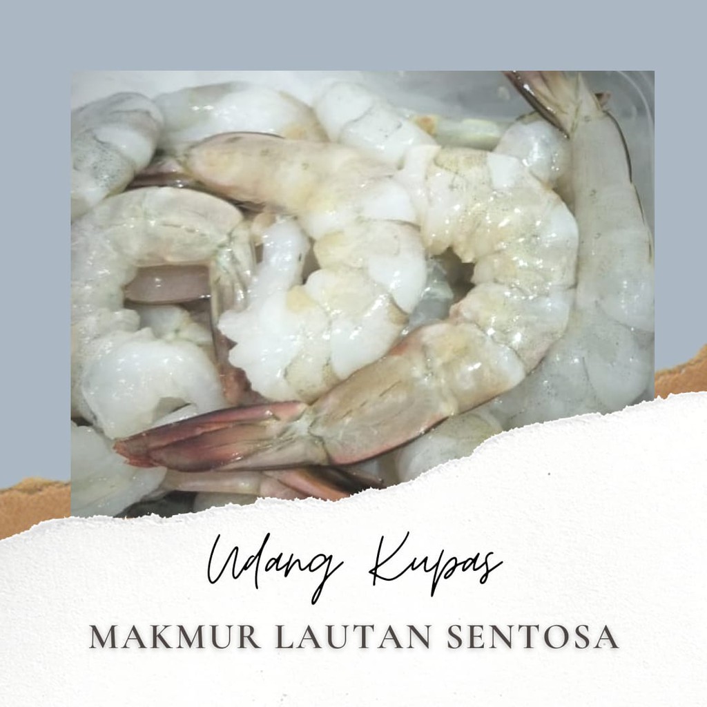 

UDANG KUPAS BESAR FRESH HARIAN 500GRAM