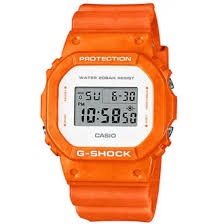 Casio G-SHOCK DW-5900TS-4DR Jam Tangan Pria Original