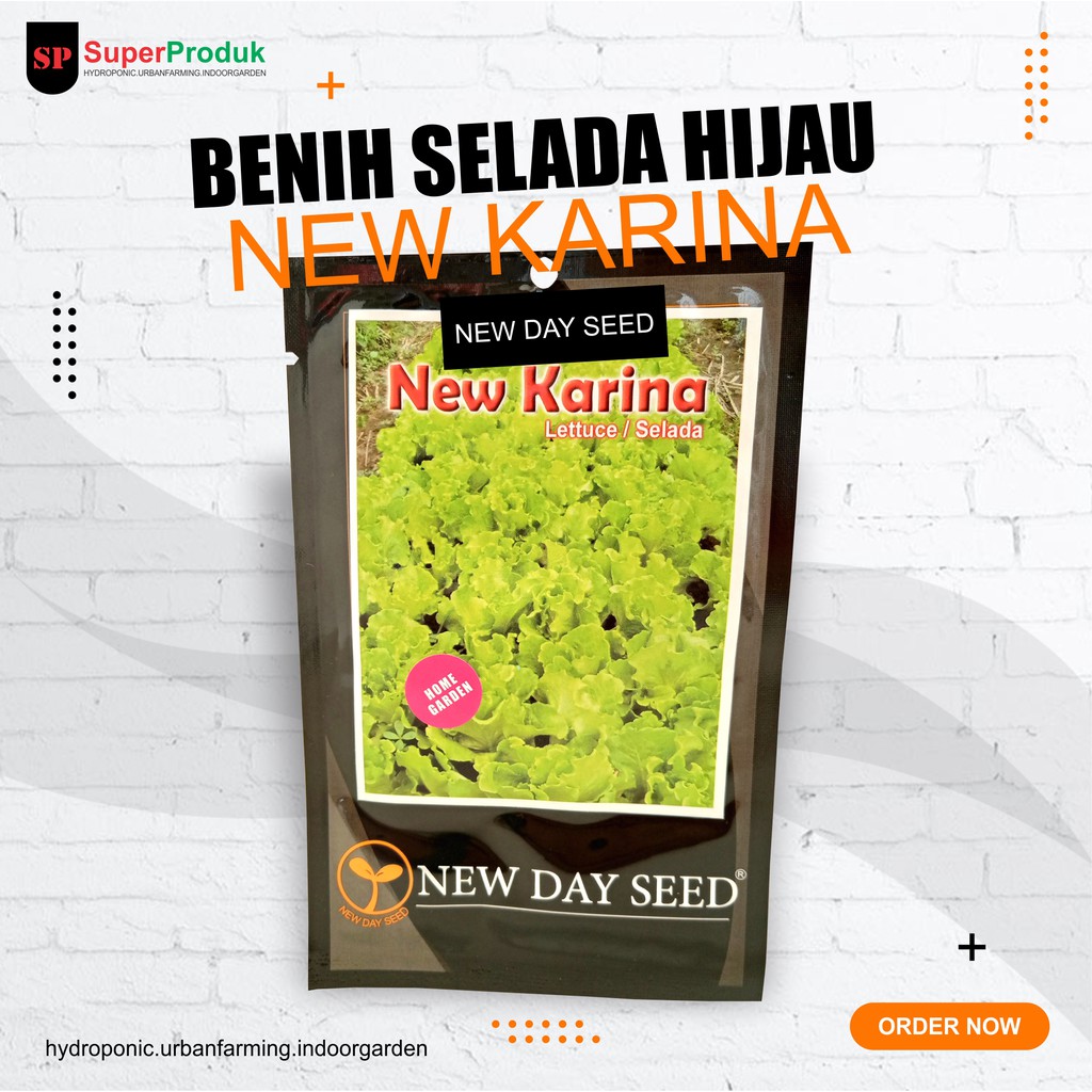 Benih-Bibit Selada Hijau New Karina New Day Seed