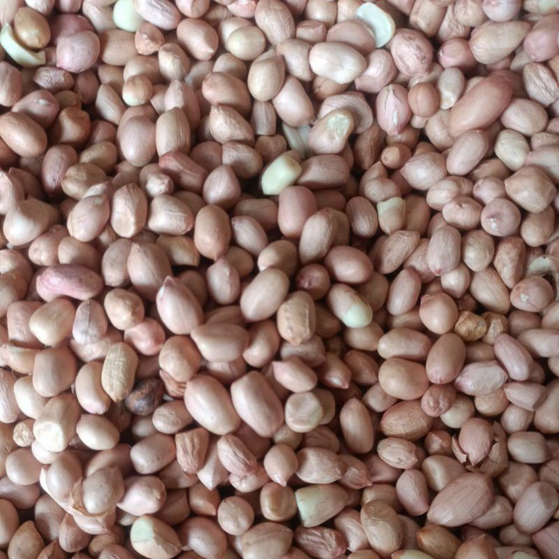 

KACANG TANAH 250GRAM