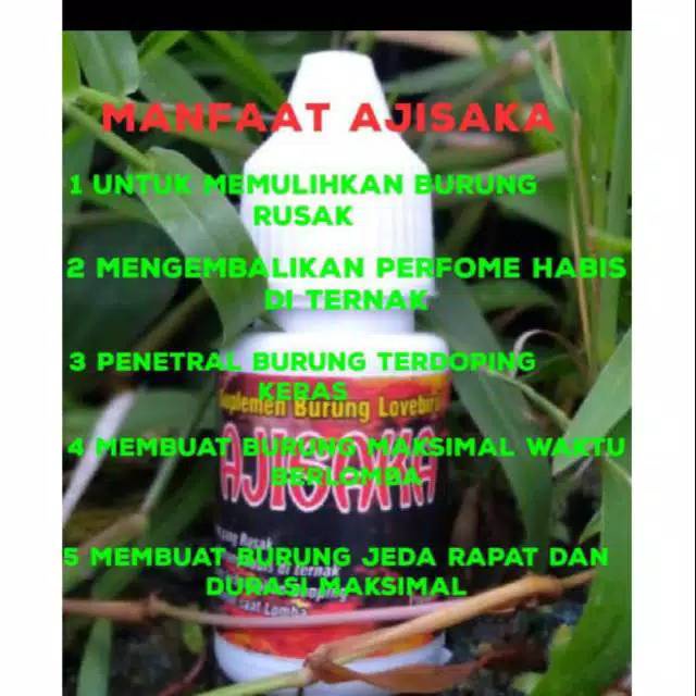 Air goib dhera sf aji saka