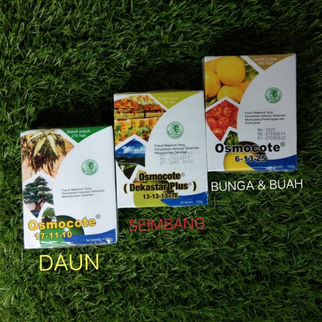 Pupuk Osmocote Dekastar