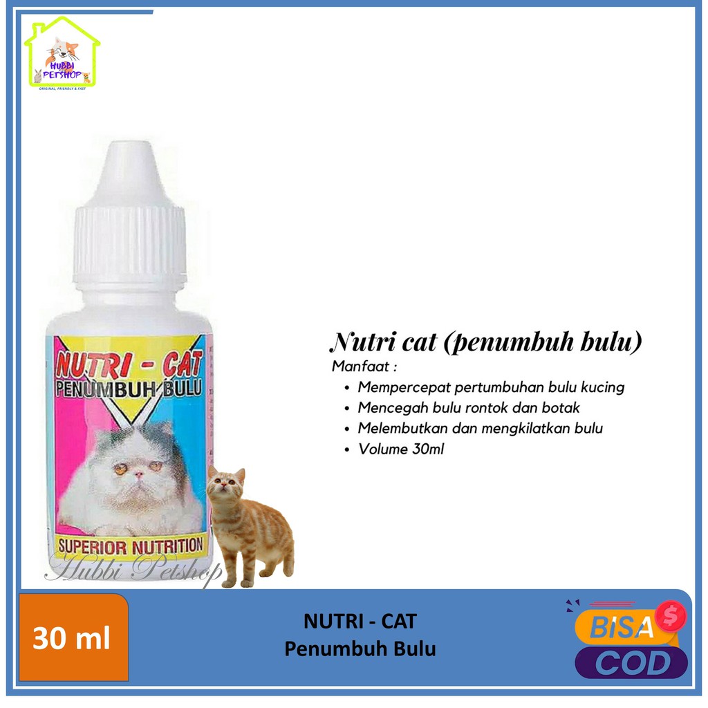 Vitamin Kucing Obat Penumbuh Bulu Kucing Adult Kitten Nutri Cat