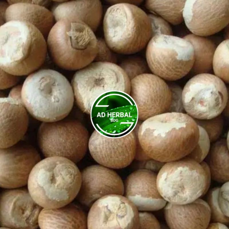 

Biji Buah Pinang Tua Kering Isi Per 1Kg