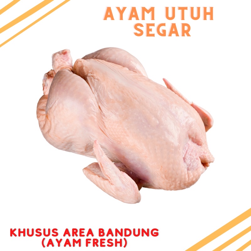 

Ayam utuh segar