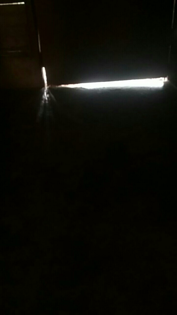 Kantong Plastik Packing Polos Hd Plong Wrapping Peking