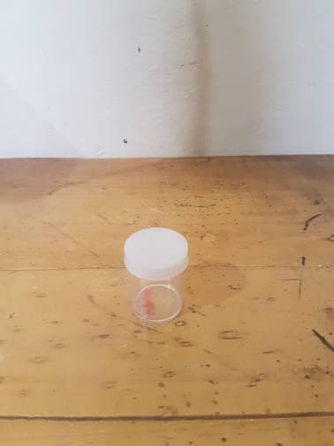 toples mika mini 3cm