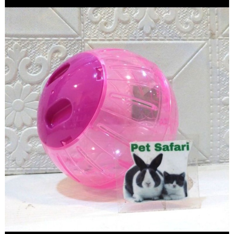 Mainan Bola Hamster Jolly Exercise Actifun Ball Play Toys
