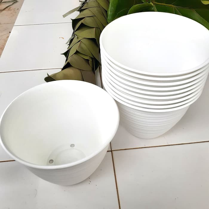 Pot Tawon Putih Ukuran 24cm