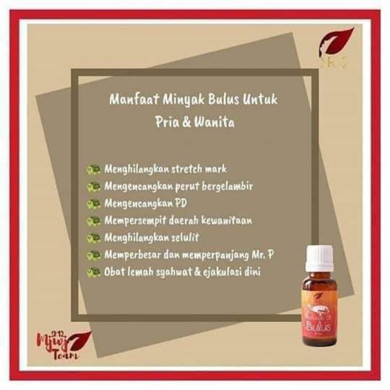 Minyak Bulus Sr12 Massage Oil Sr12 Shopee Indonesia