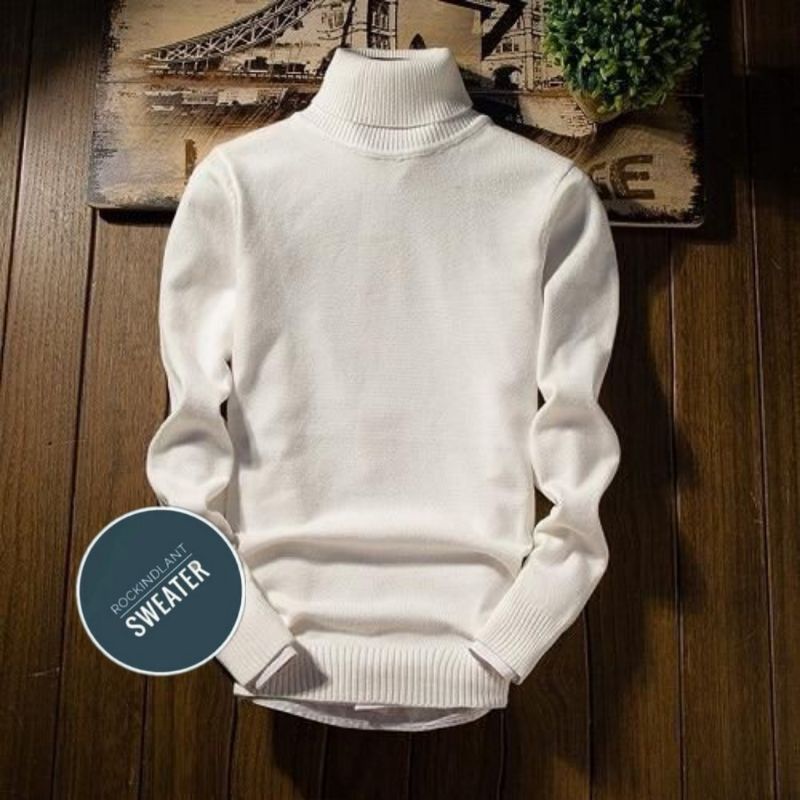 Sweater Turtleneck pria