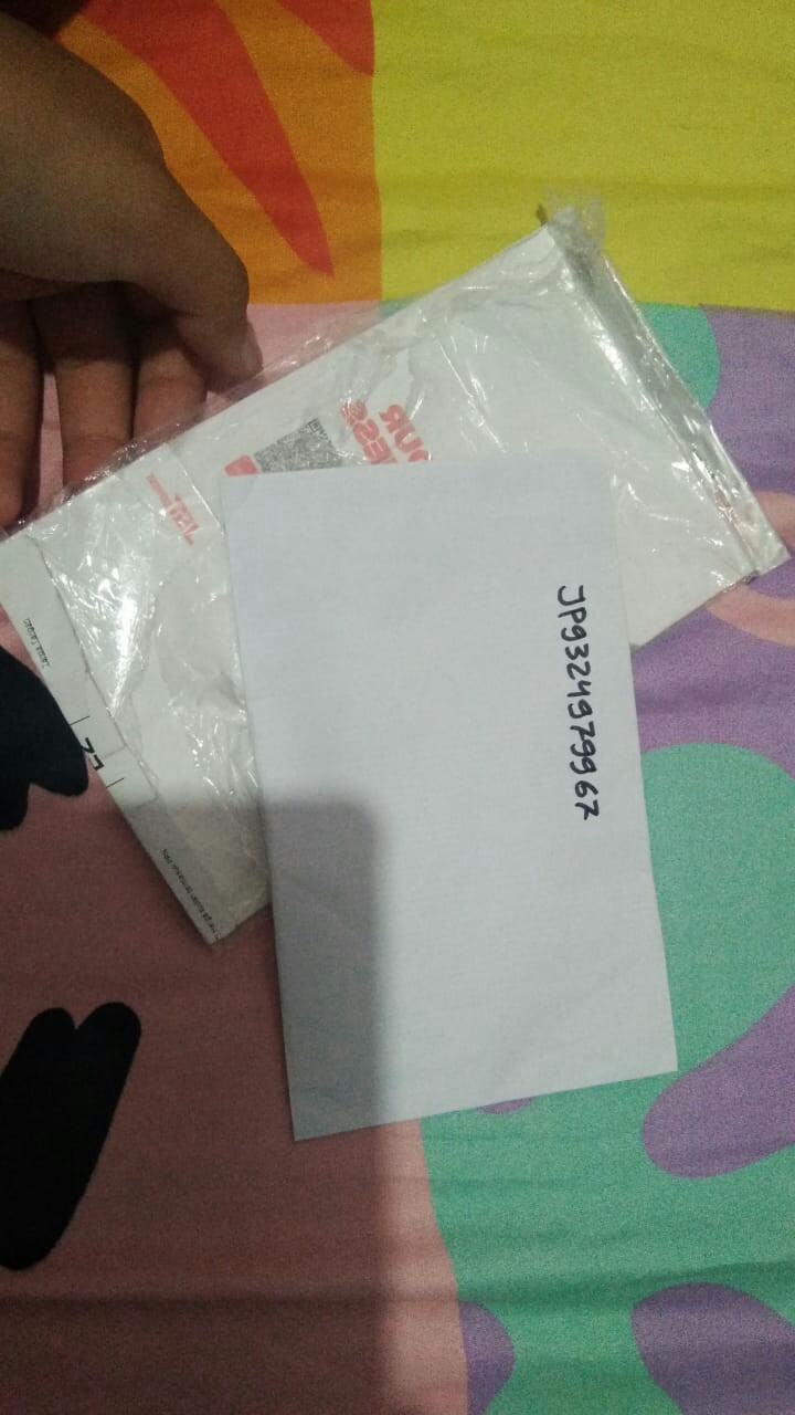 Johrnia 4 Benih Bunga Mawar Multicolor B