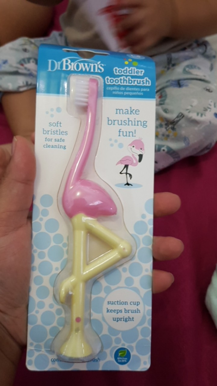 Dr Browns Infant to Toddler Toothbrush Sikat  Gigi  1  4 