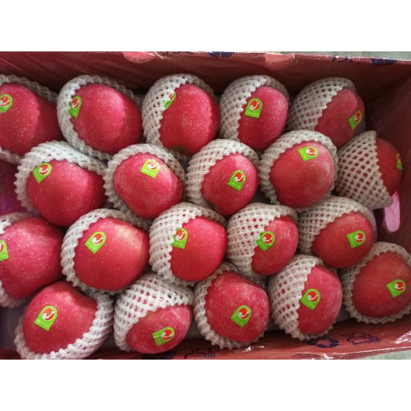 Buah Apel Fuji Premium Rosy Fresh Import /Dus