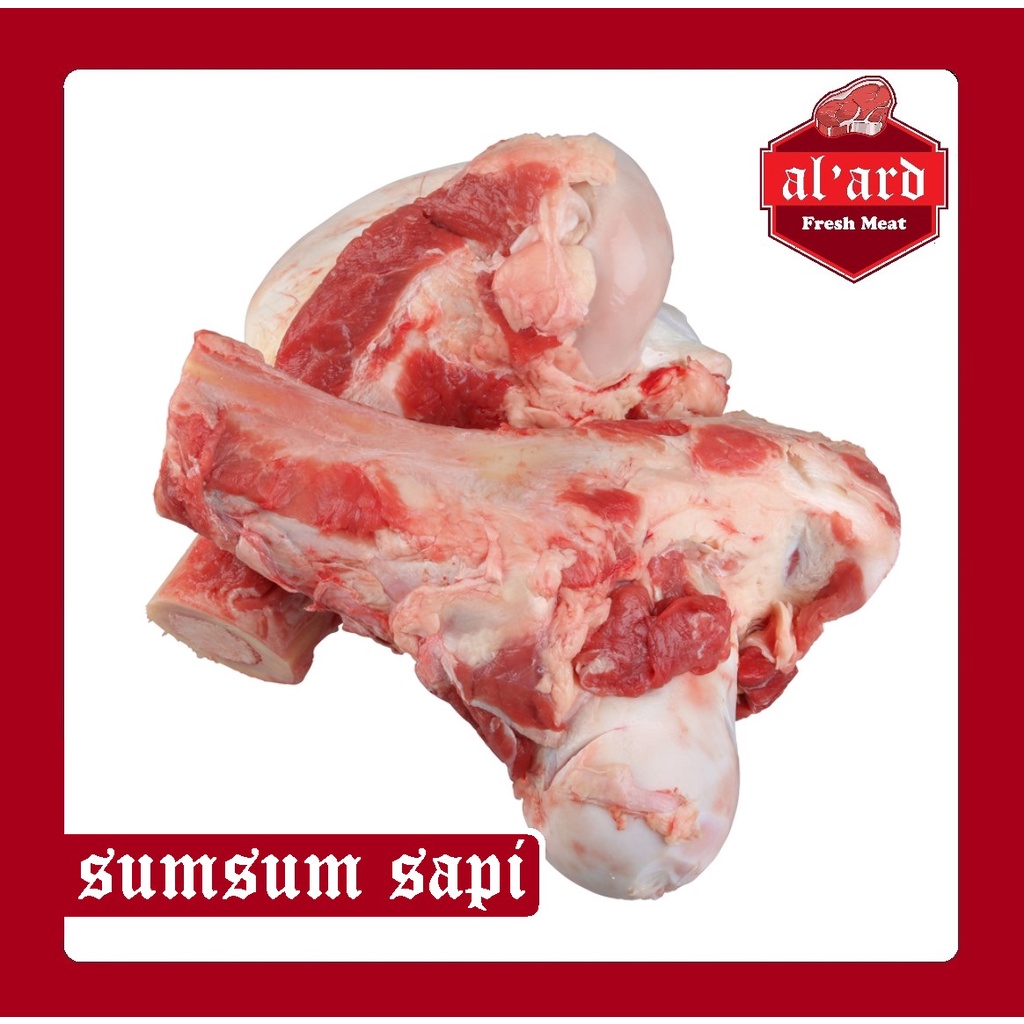 

TULANG SUMSUM SAPI