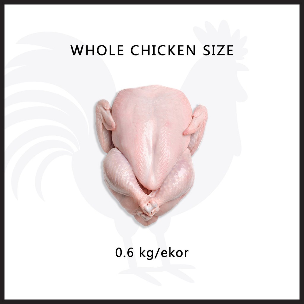 

Ayam karkas / PKK (ayam broiler) 0.5 - 0.6 kg frozen