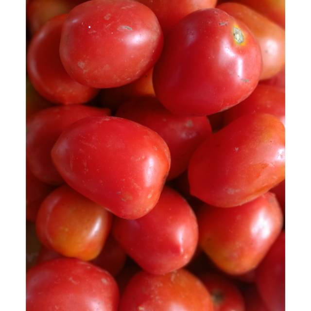 

Tomat 1kg