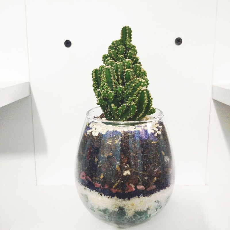 Terrarium Kaktus Sukulen Bunga Hidup Vas Pot kaca Aquarium Bunga Sekulen Tanaman Hias Dekorasi Artificial -b