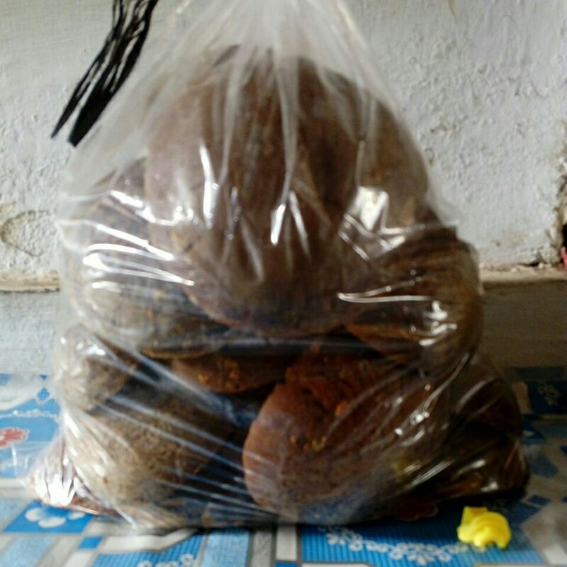 

gula aren / palm sugar / arenQ