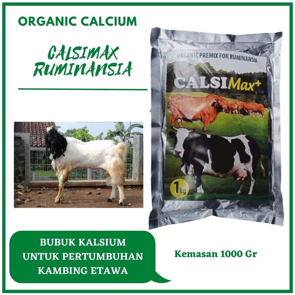 Calsium CalsiMax Suplemen Untuk Sapi Potong, Pakan Kambing Etawa Agar Cepat Gemuk