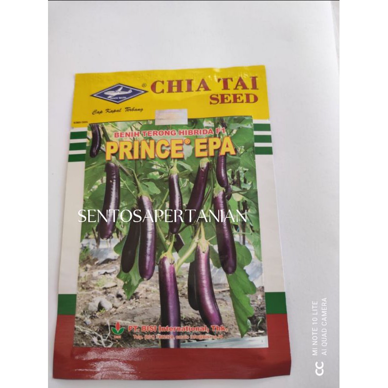 benih terong ungu hibrida F1 PRINCE EPA 10gr dari BISI