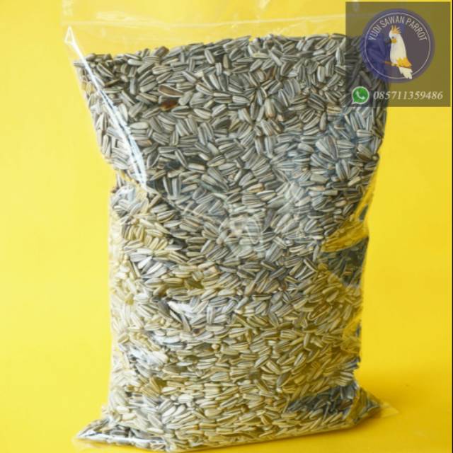 Kuaci Sangrai Kecil Makanan Burung Kakatua Falk Lovebird Nuri