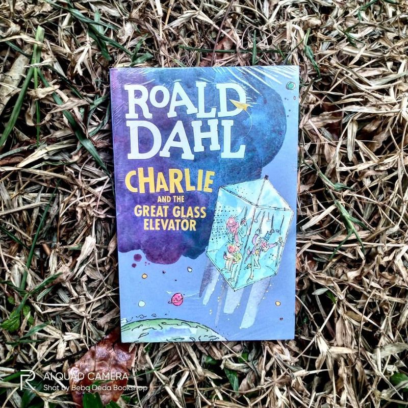 roald dahl charlie and the glass elevator