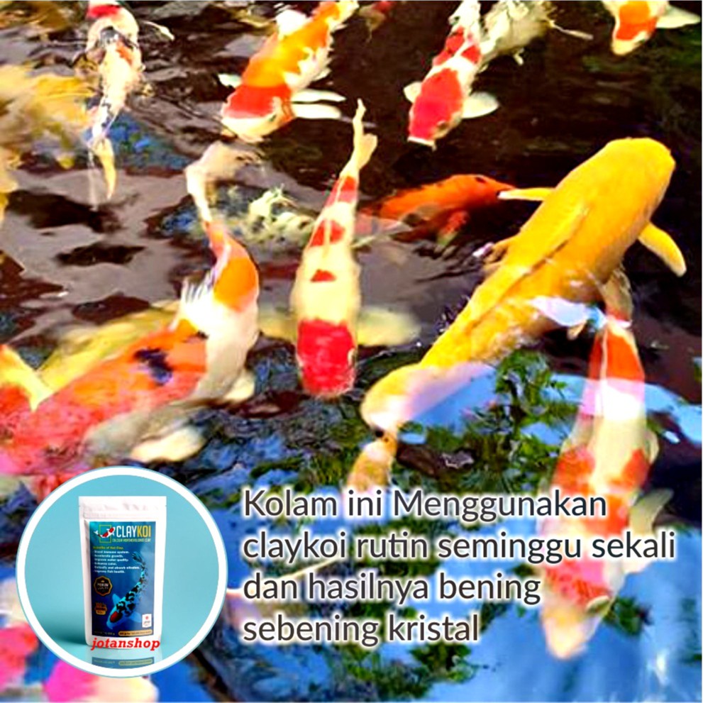 Clay Koi claykoi Calcium Montmorillonite mineral Penjernih Air Kolam Ikan Koi Aquarium 250gr