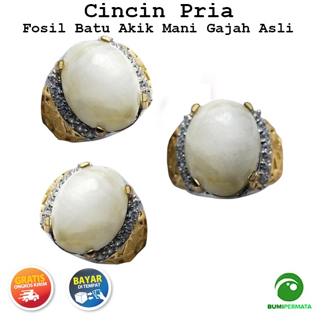 Cincin Batu Akik Fosil Mani Gajah Asli Natural