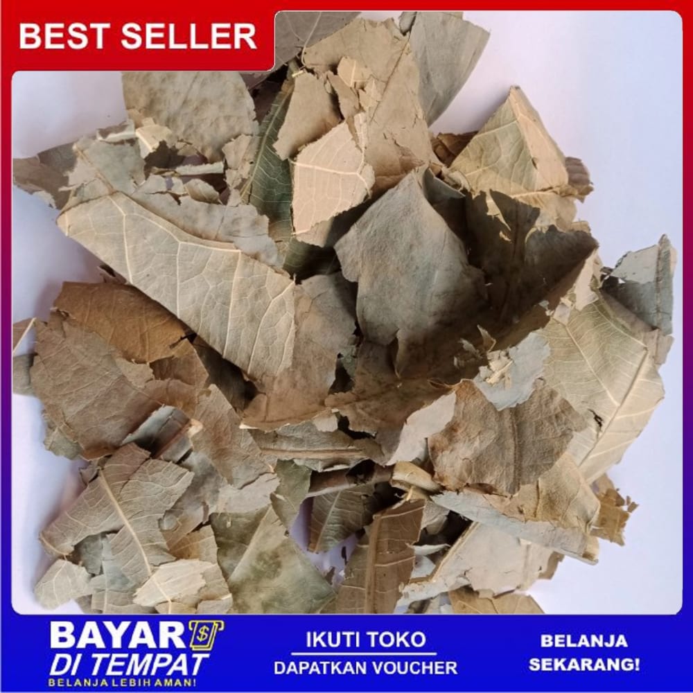 

Ts Murah DAUN SUKUN Kering 1kg Herbal Osteoporosis Jantung Maag Liver Diabetes
