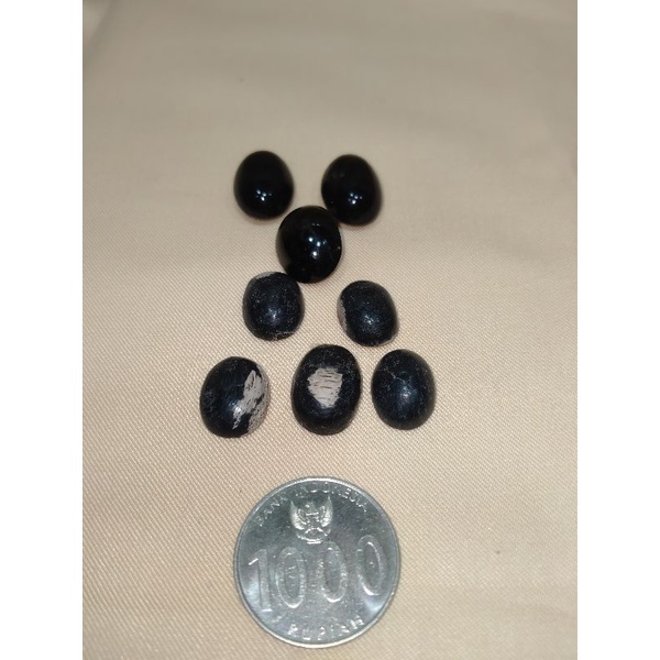 Batu Fosil Kayu Ulin Kalimantan