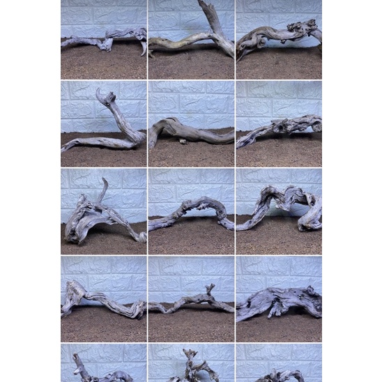 kayu santigi akar sentigi kayu tenggelam hardscape sentigi hiasan akuarium aquascape chana dangkel